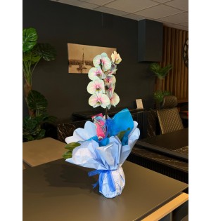 Wonder Bloom Tek Dal Mavi Orkide