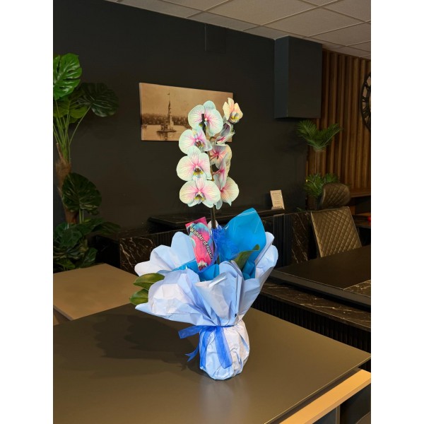 Wonder Bloom Tek Dal Mavi Orkide